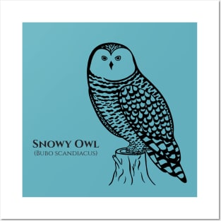 Snowy Owl with Common and Scientific Names - detailed bird design Posters and Art